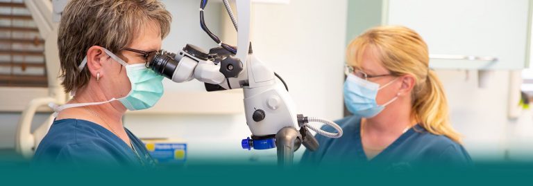 Endodontic Referral Form Shoreham Endodontics West Sussex
